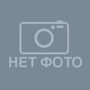 Купить Антифриз FELIX Carbox 10л (крас) в Саратове по выгодной цене в интернет-магазине автозапчастей LARGUS